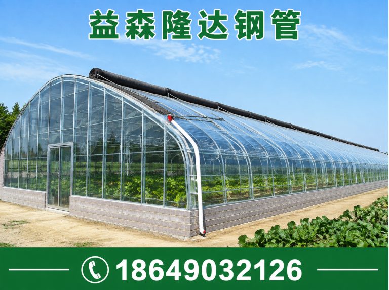 静海区日光温室大棚，连栋温室大棚，单体大棚，塑料大棚，育苗大棚，养殖大棚展示图